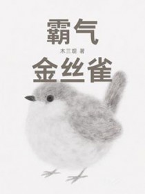 霸气金丝雀